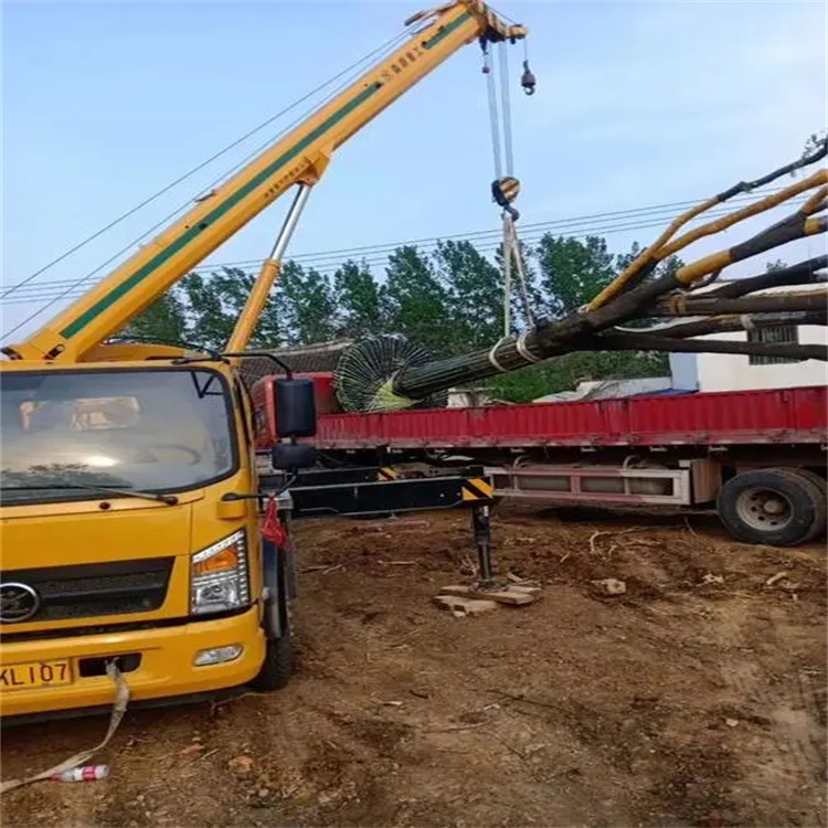 咸丰100吨吊车租赁费用怎么算？3大关键因素+省钱技巧全解析